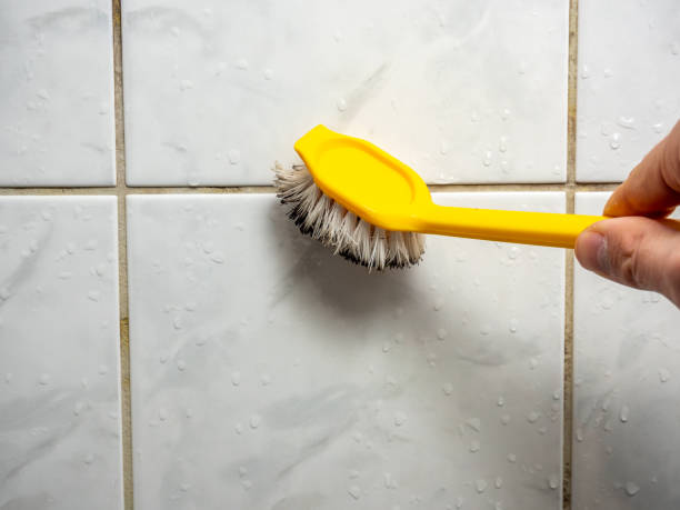 Best Water Damage Restoration  in Cape Carteret, NC