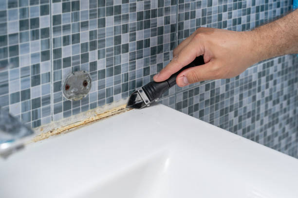 Best Same-Day Mold Removal  in Cape Carteret, NC
