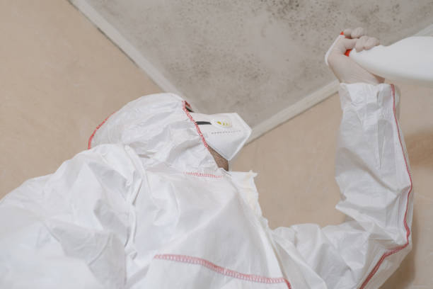 Best Local Mold Removal Service  in Cape Carteret, NC